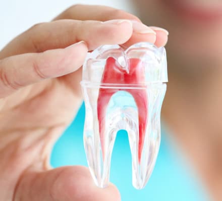 Endodoncia